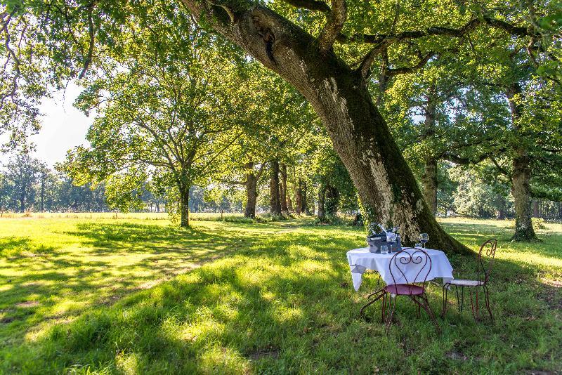 Le Domaine De La Briandais, Experience De Sobriete Electromagnetique Hotel Missillac Luaran gambar